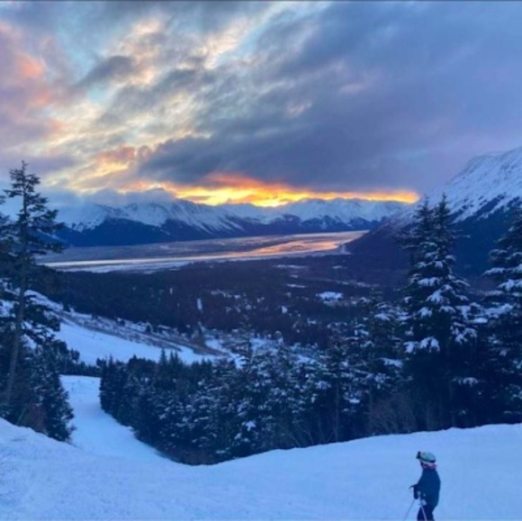 Meet your Posher, Elsa - Picture 1 of 1